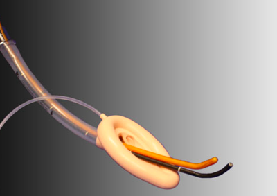 foto ML fibro+bougie